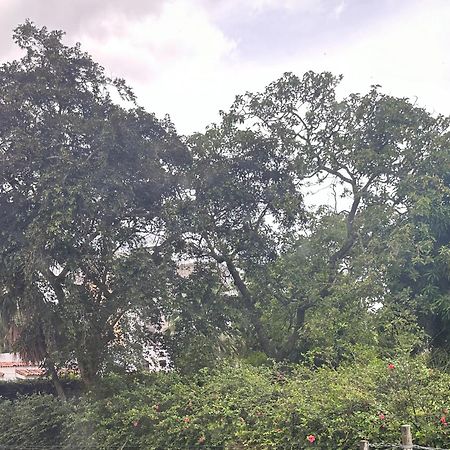 Monblanc Apartamento Completo サンサルバドル エクステリア 写真
